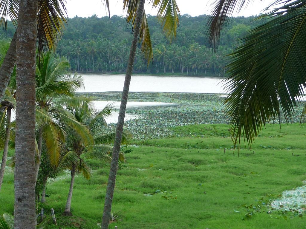 Ganesh Ayurveda Holiday Home Bed And Breakfast Kovalam Eksteriør bilde